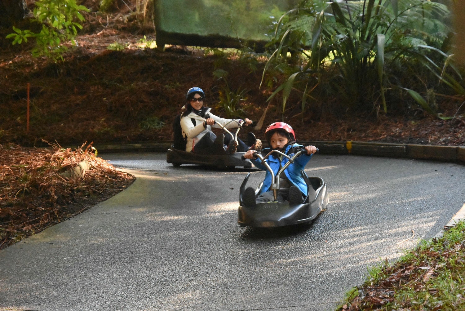 紐西蘭自助旅行。紐西蘭北島羅托魯瓦Rotorua Skyline & Luge 觀光纜車與小雪橇滑板車,世界上最長的Luge賽道 - 第15張圖