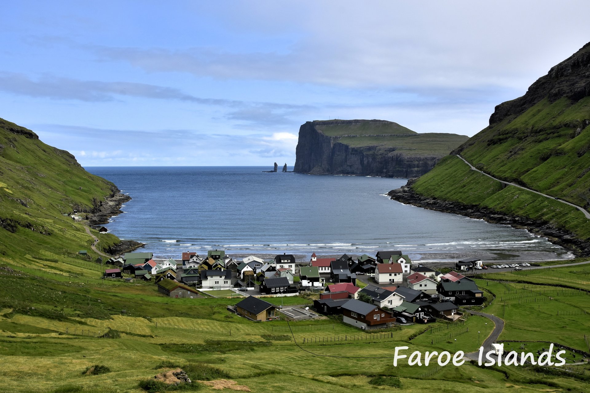 Faroe DSC6001