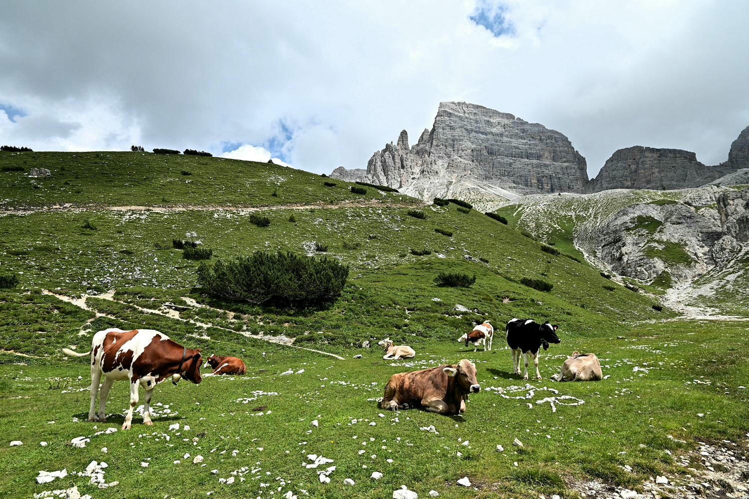 義大利。多洛米蒂Dolomites 拉瓦雷多三尖峰 Tre Cime di Lavaredo環狀健行路線,多洛米蒂必去景點! - 第11張圖