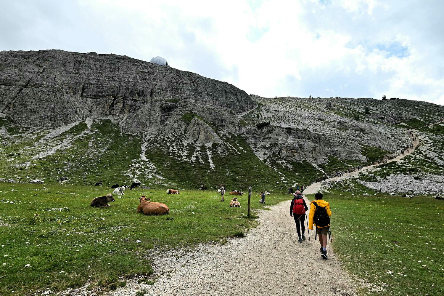 義大利。多洛米蒂Dolomites 拉瓦雷多三尖峰 Tre Cime di Lavaredo環狀健行路線,多洛米蒂必去景點! - 第12張圖