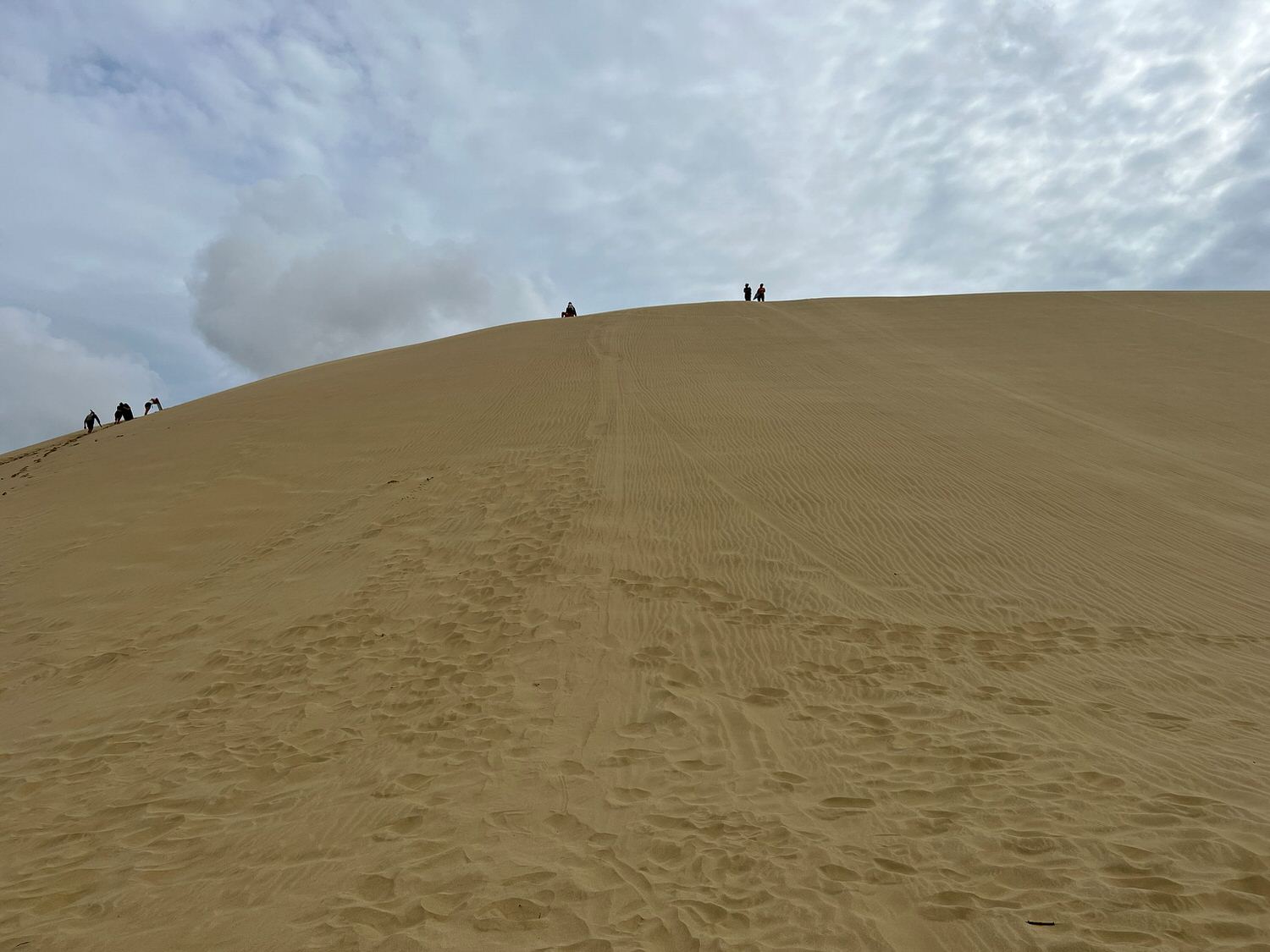 Giant Sand DunesIMG 2920