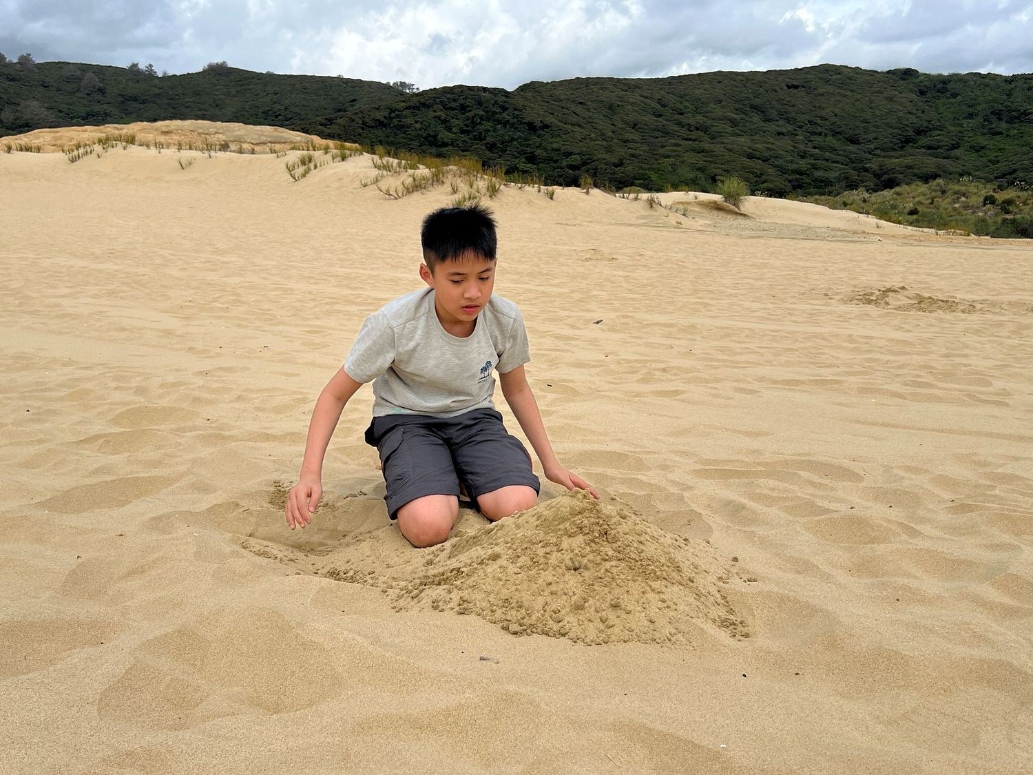 Giant Sand DunesIMG 2934