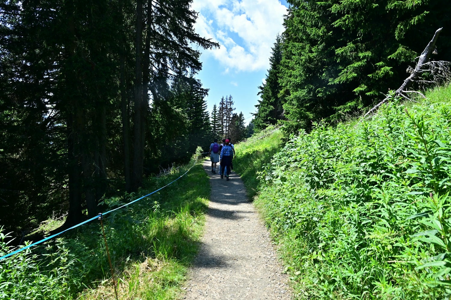 義大利。多洛米蒂Dolomites,Ortisei小鎮搭纜車上歐洲最高高山草原Alpe di Siusi / Seiser Alm 休斯高原,交通與行程安排建議 - 第29張圖