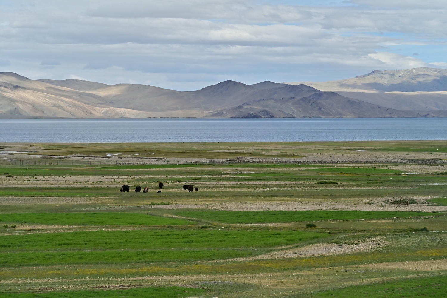 印度。北北印拉達克Ladakh旅遊注意事項,不可輕忽的高山症。 - 第5張圖