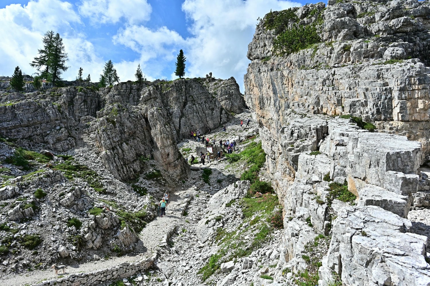 義大利。多洛米蒂Dolomites,五塔山The Cinque Torri交通資訊、健行步道推薦,Cortina d’Ampezzo地標之一! - 第22張圖