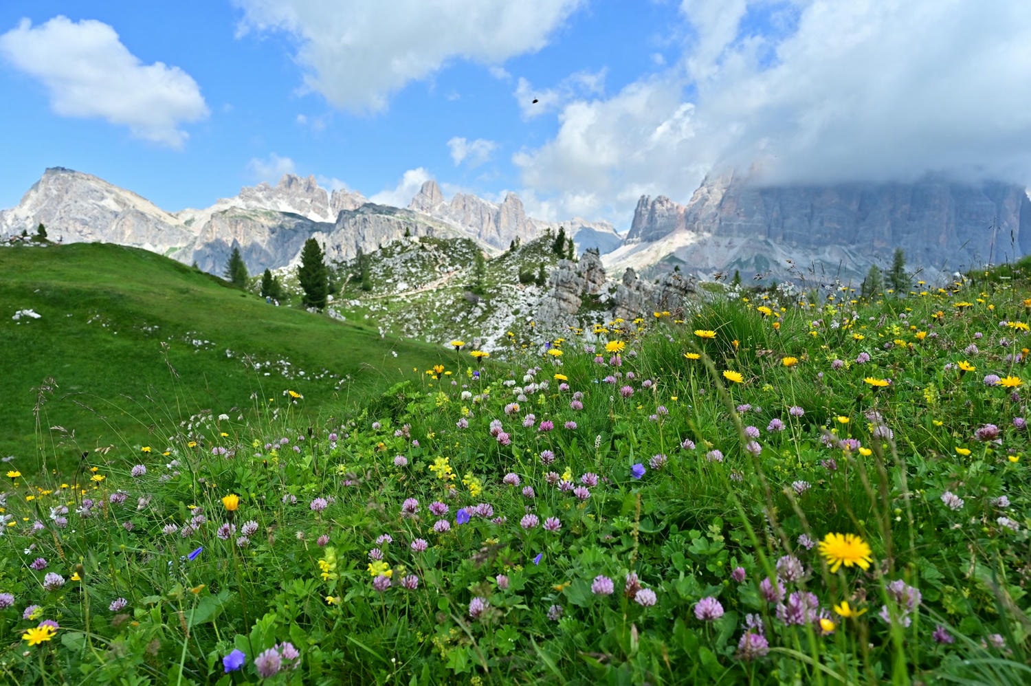 義大利。多洛米蒂Dolomites,五塔山The Cinque Torri交通資訊、健行步道推薦,Cortina d’Ampezzo地標之一! - 第30張圖