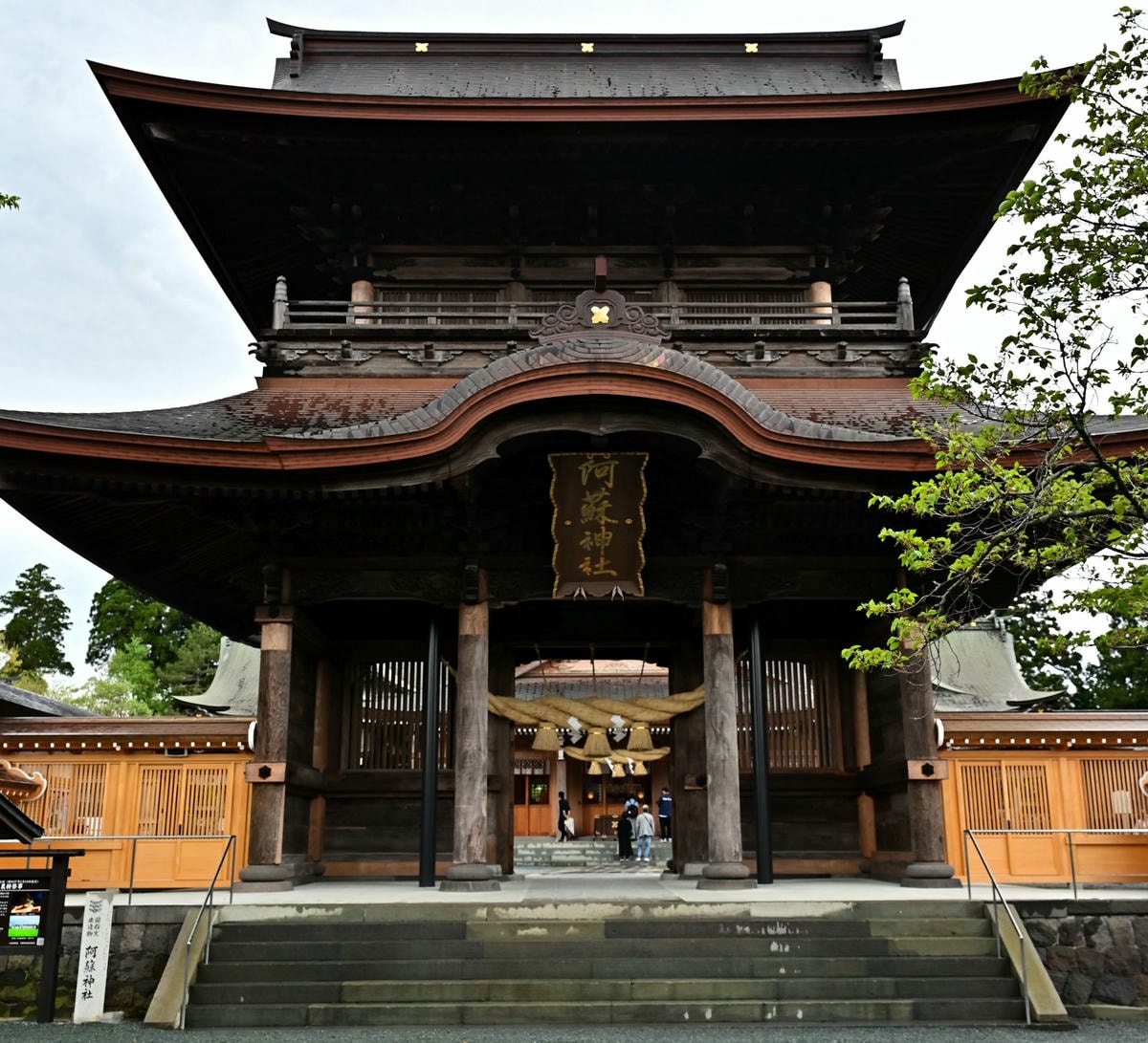 日本。九州自由行,南北九州六天自駕鹿兒島/宮崎/阿蘇/熊本/福岡行程景點推薦 - 第32張圖
