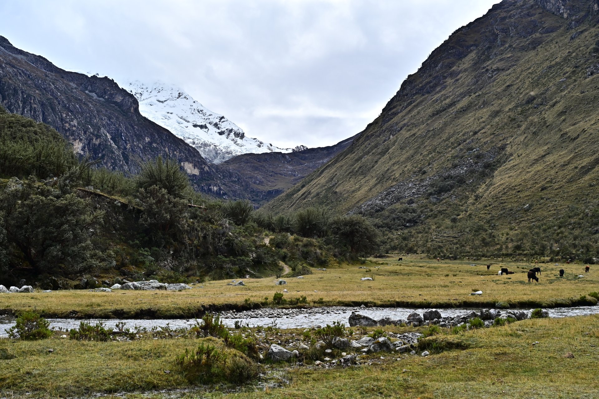 祕魯瓦拉斯 Laguna 69 │69湖一日健行攻略：交通、路線與注意事項
