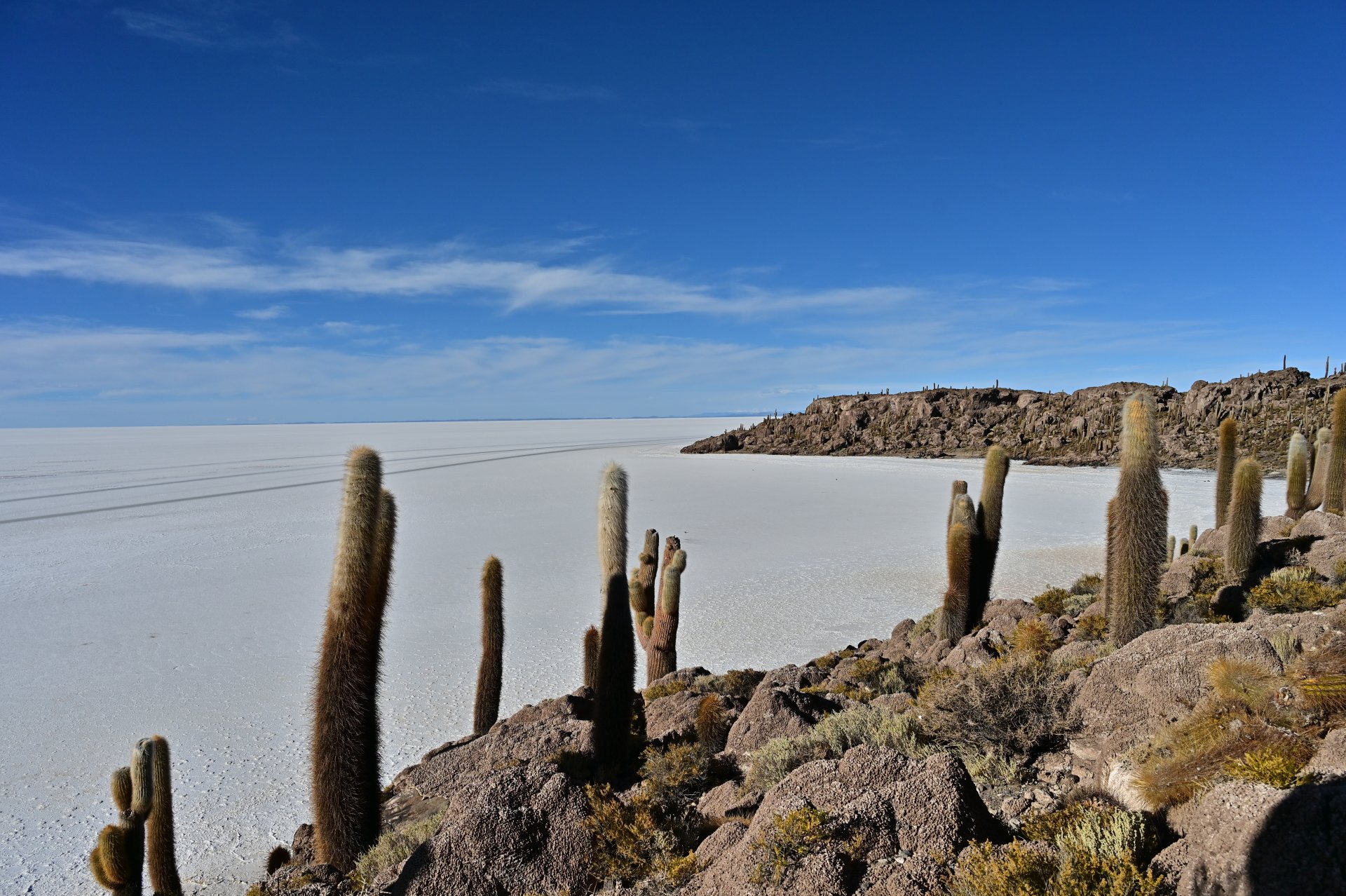 玻利維亞。Uyuni 烏尤尼鹽湖三日團到阿塔卡馬 Atacama超完整攻略！路線介紹、旅行社選擇、注意事項