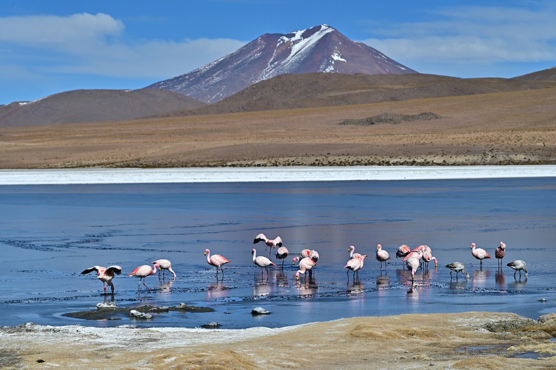 玻利維亞。Uyuni 烏尤尼鹽湖三日團到阿塔卡馬 Atacama超完整攻略！路線介紹、旅行社選擇、注意事項