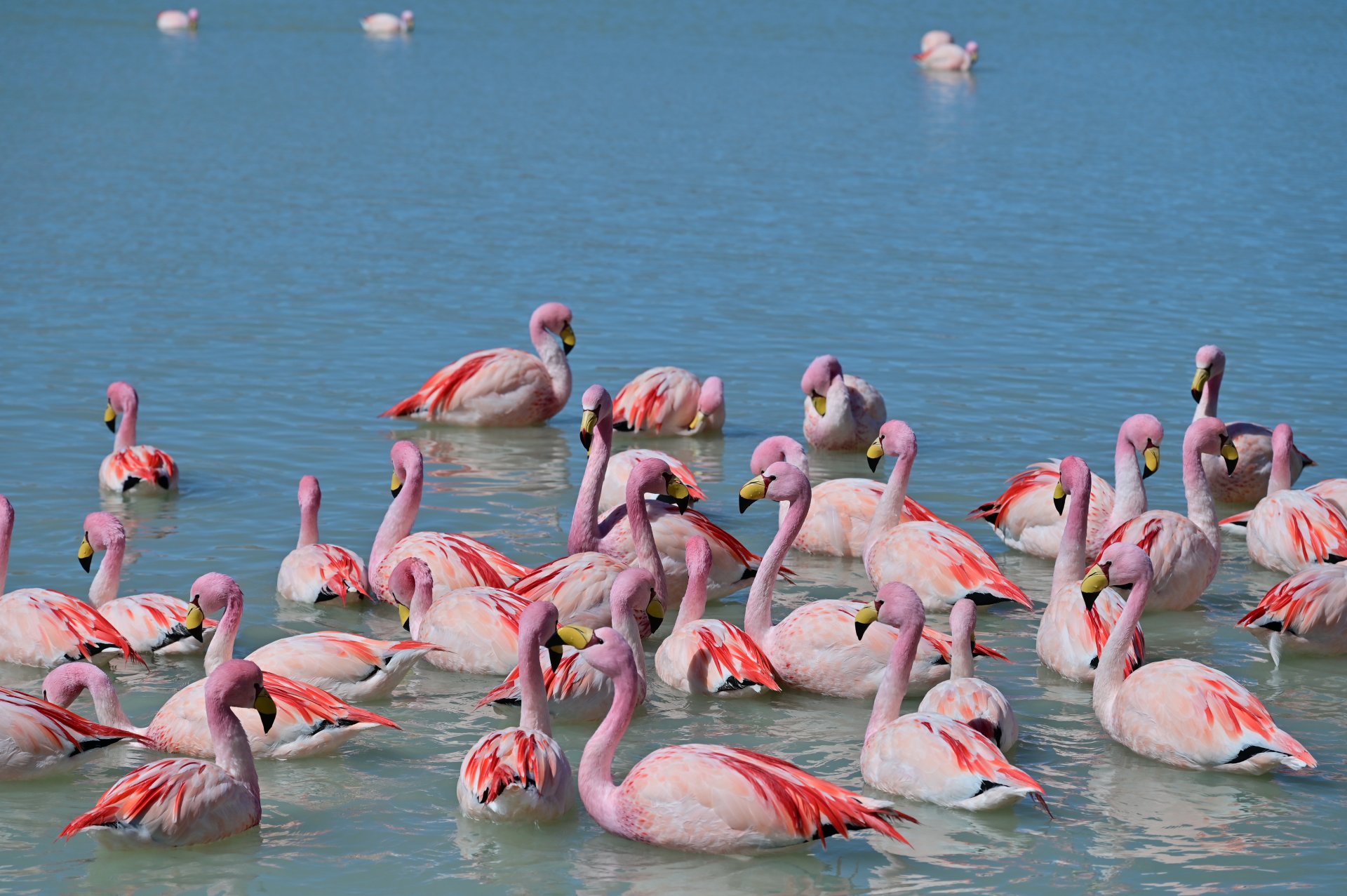 玻利維亞。Uyuni 烏尤尼鹽湖三日團到阿塔卡馬 Atacama超完整攻略！路線介紹、旅行社選擇、注意事項