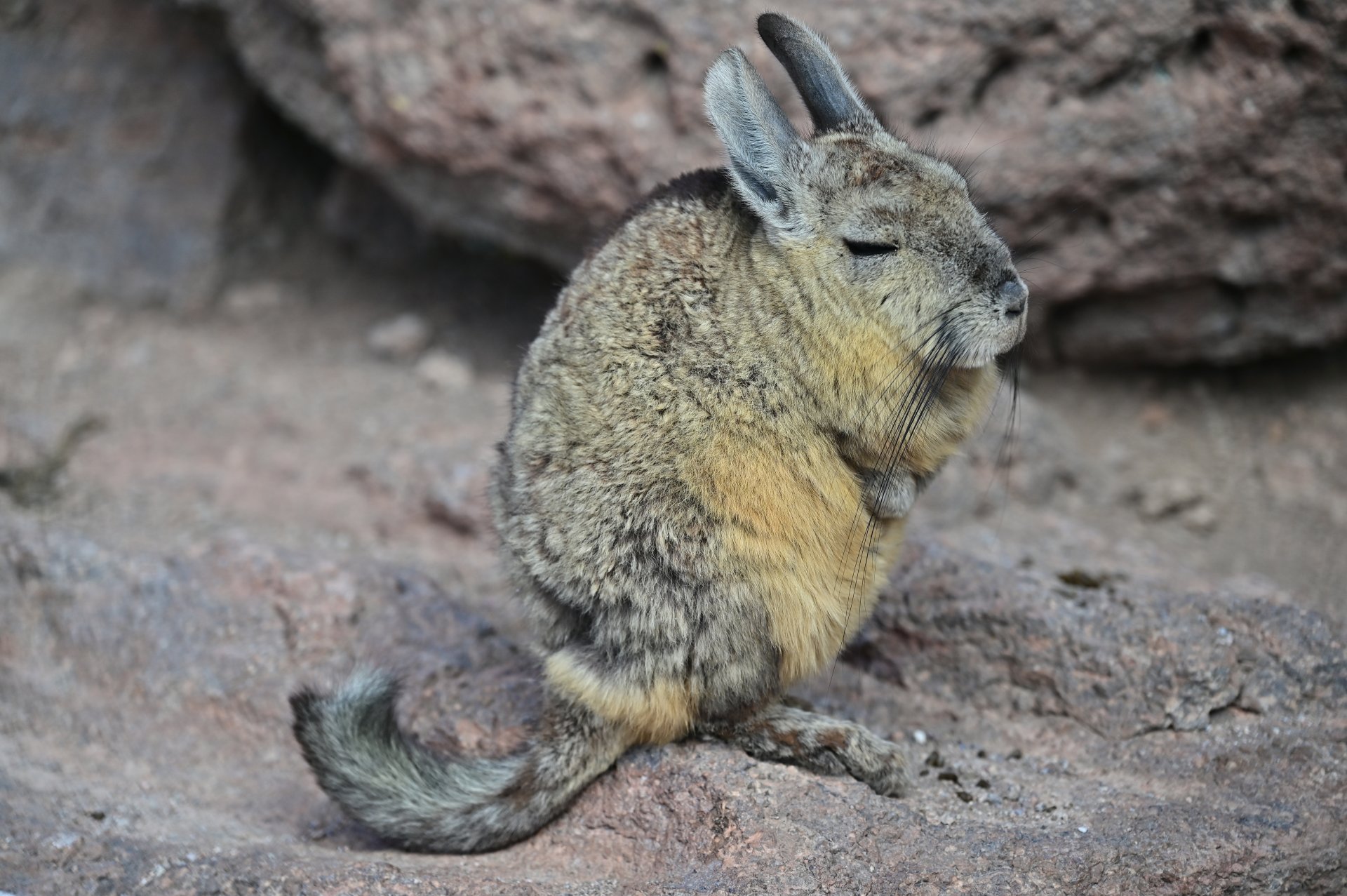 玻利維亞。Uyuni 烏尤尼鹽湖三日團到阿塔卡馬 Atacama超完整攻略！路線介紹、旅行社選擇、注意事項
