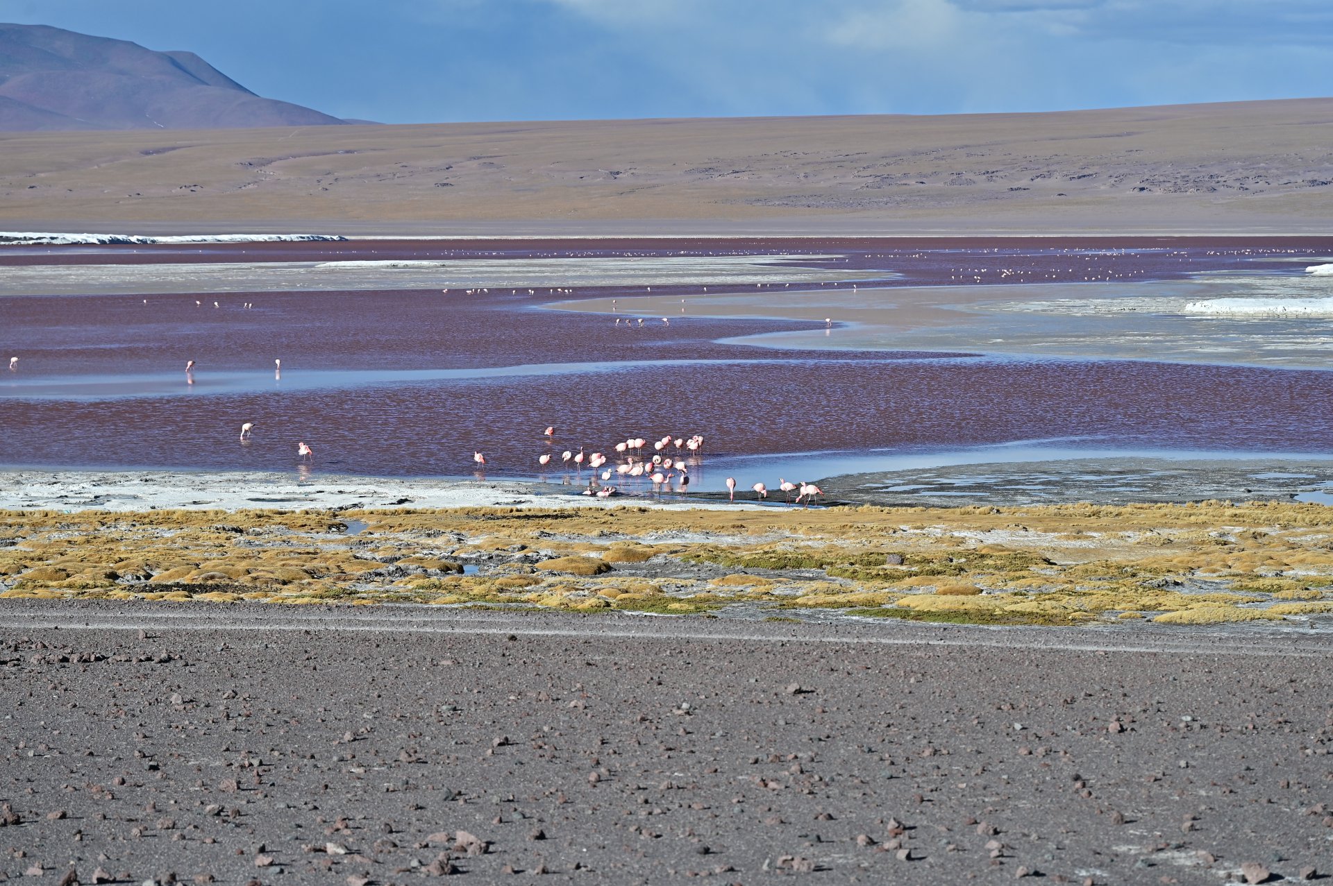 玻利維亞。Uyuni 烏尤尼鹽湖三日團到阿塔卡馬 Atacama超完整攻略！路線介紹、旅行社選擇、注意事項