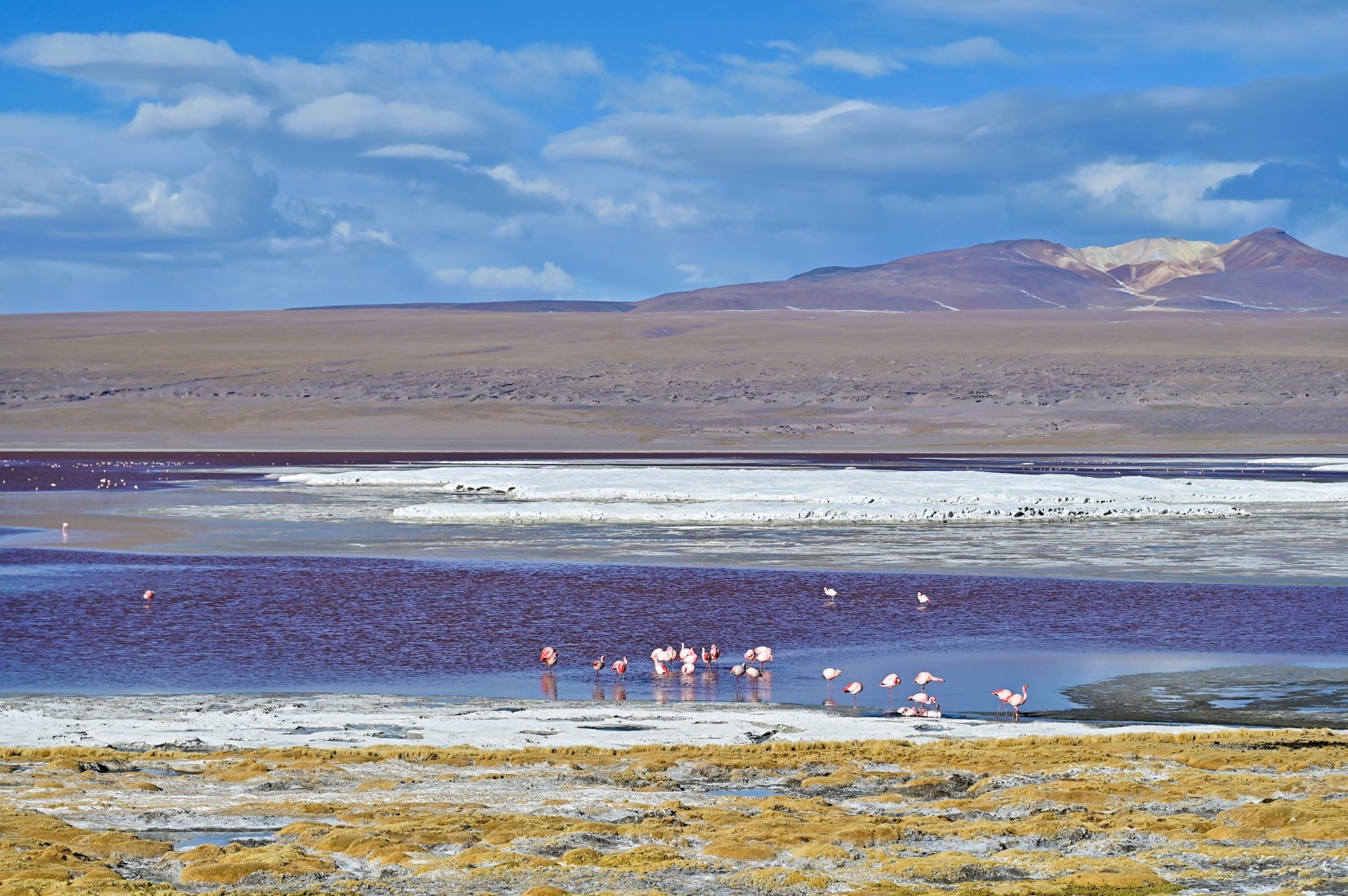 玻利維亞。Uyuni 烏尤尼鹽湖三日團到阿塔卡馬 Atacama超完整攻略！路線介紹、旅行社選擇、注意事項