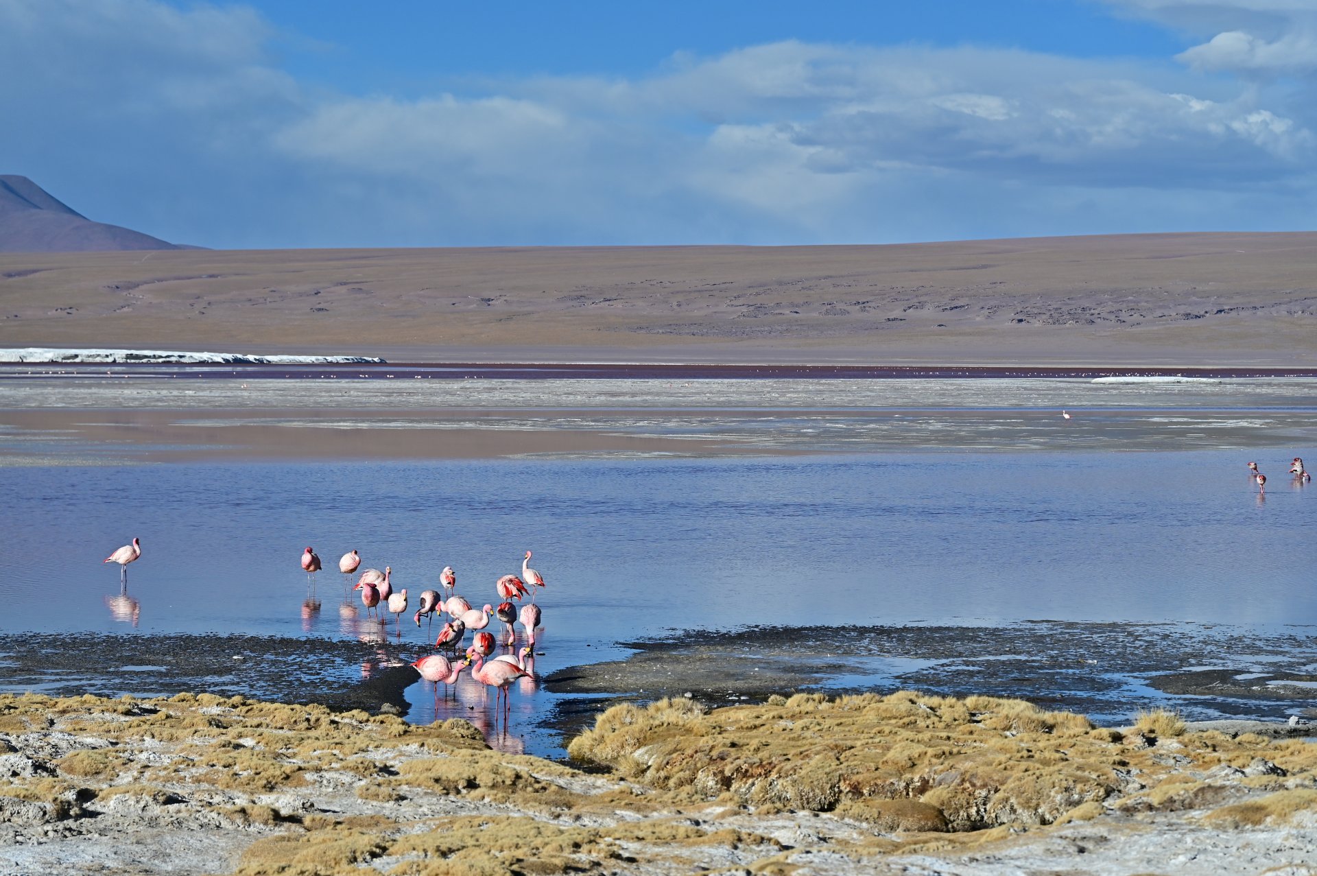 玻利維亞。Uyuni 烏尤尼鹽湖三日團到阿塔卡馬 Atacama超完整攻略！路線介紹、旅行社選擇、注意事項