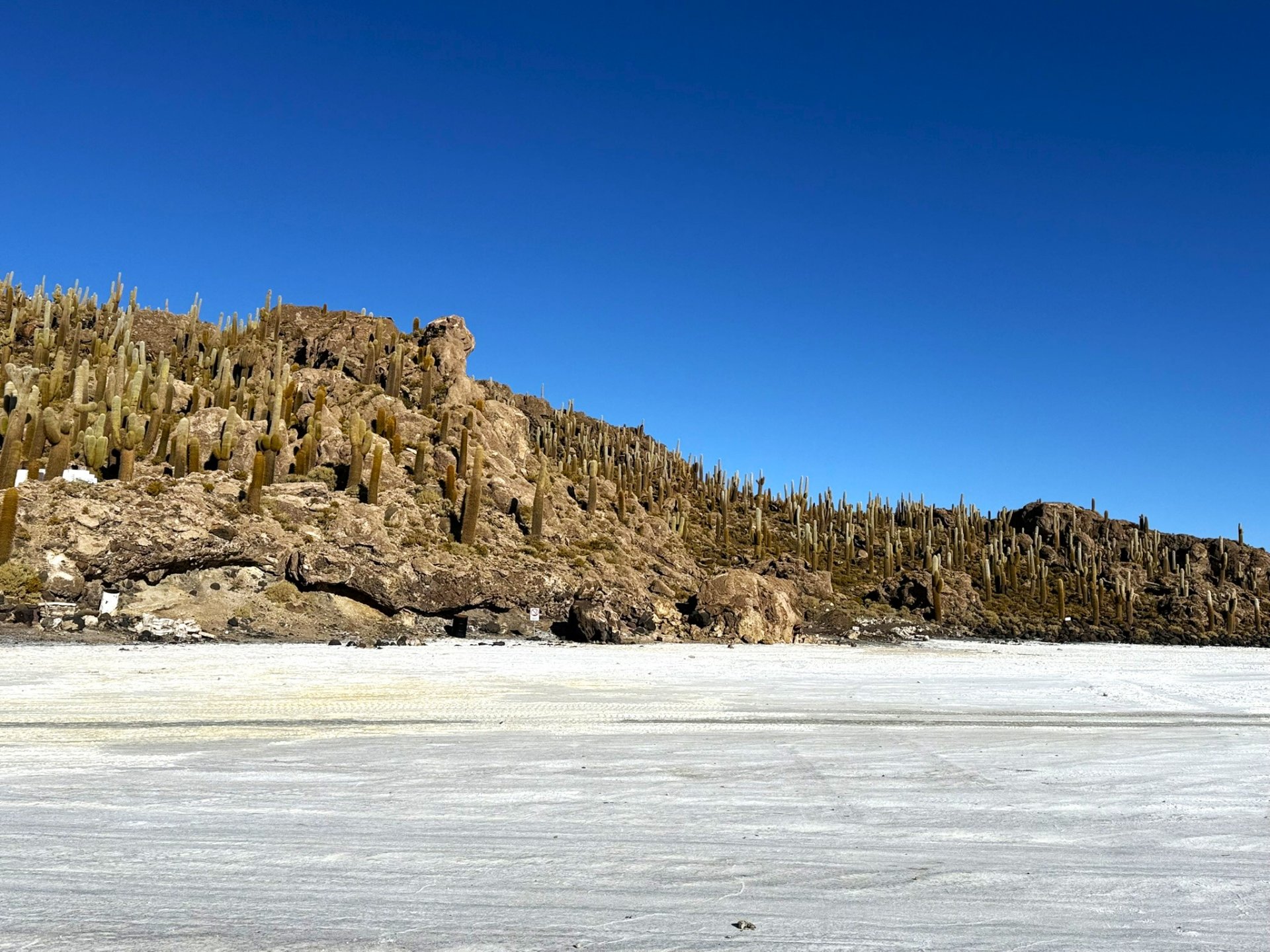 玻利維亞。Uyuni 烏尤尼鹽湖三日團到阿塔卡馬 Atacama超完整攻略！路線介紹、旅行社選擇、注意事項