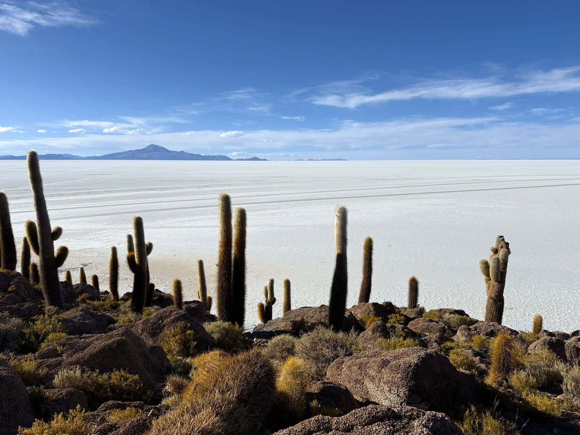 玻利維亞。Uyuni 烏尤尼鹽湖三日團到阿塔卡馬 Atacama超完整攻略！路線介紹、旅行社選擇、注意事項
