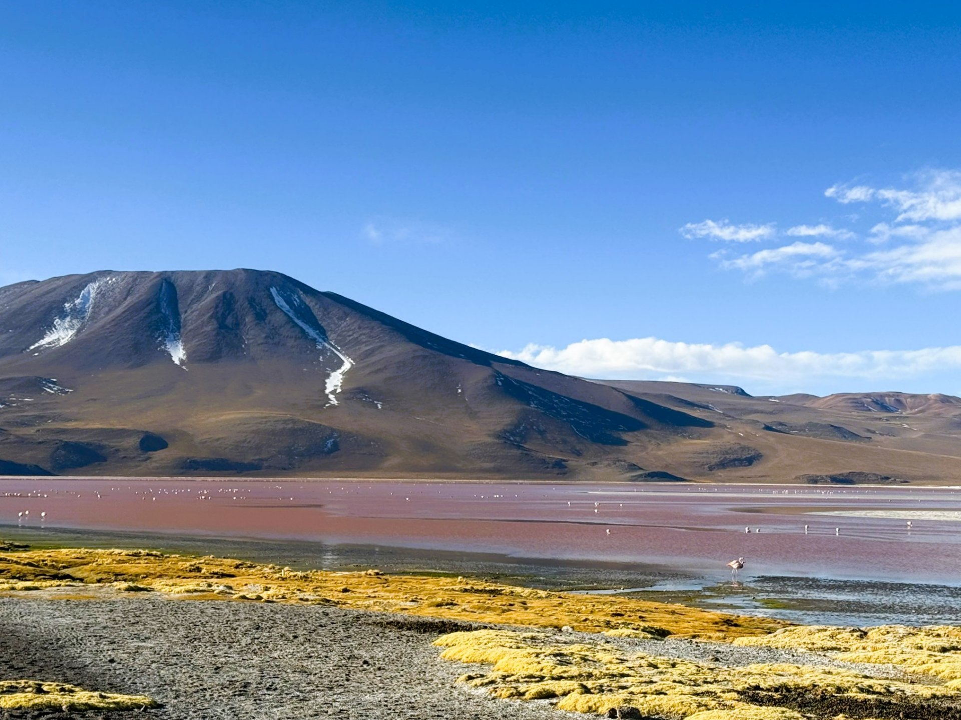 玻利維亞。Uyuni 烏尤尼鹽湖三日團到阿塔卡馬 Atacama超完整攻略！路線介紹、旅行社選擇、注意事項