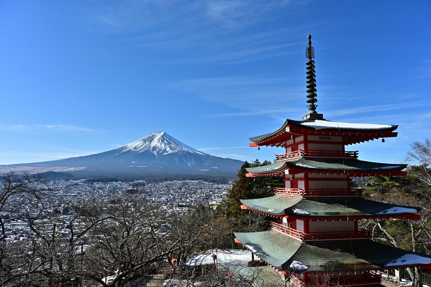 日本自駕忘記帶日文駕照翻譯本怎麼辦？JAF線上申請流程與補救經驗分享