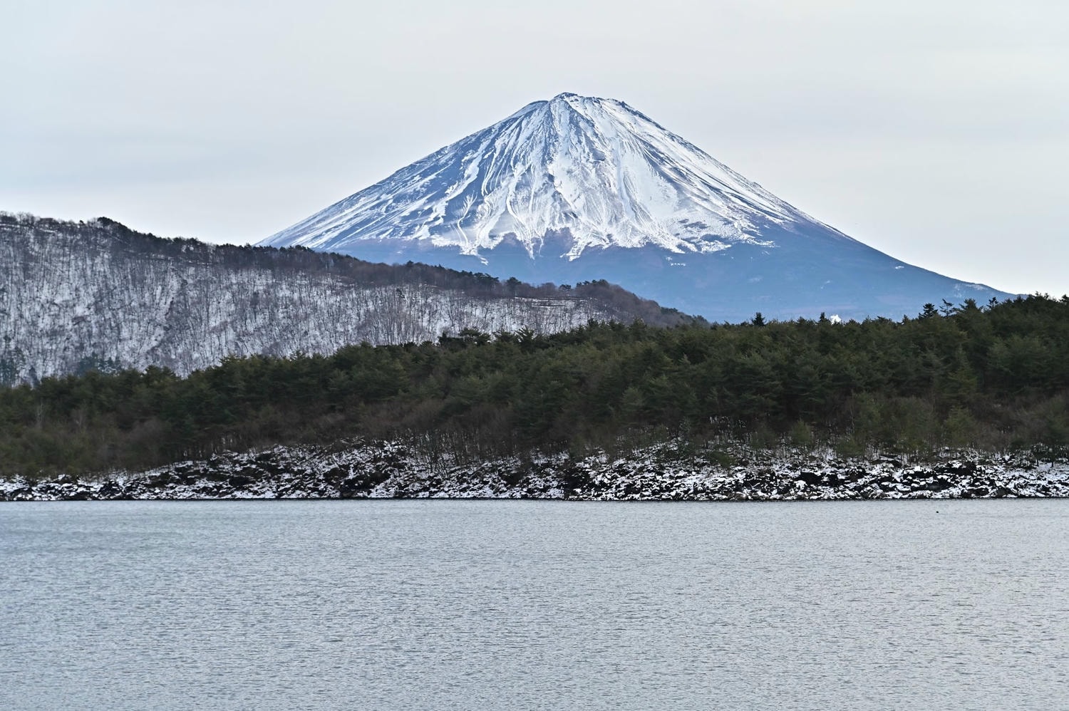 日本自駕忘記帶日文駕照翻譯本怎麼辦？JAF線上申請流程與補救經驗分享